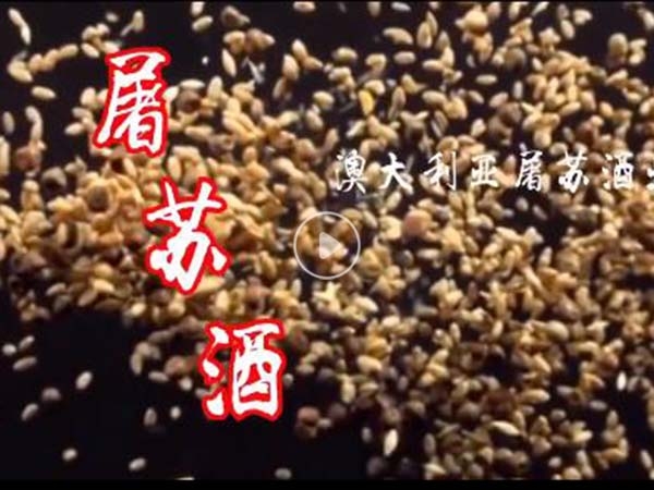 qq截圖20240312144343